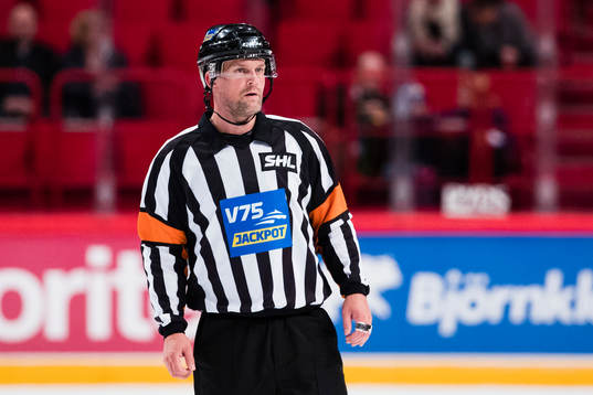 Domare Mikael Nord