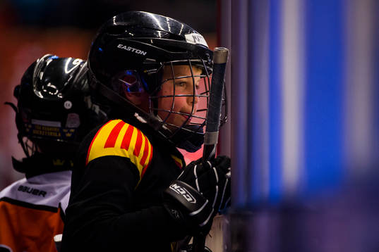 Matchens knatte före ishockeymatchen i SHL mellan Brynäs