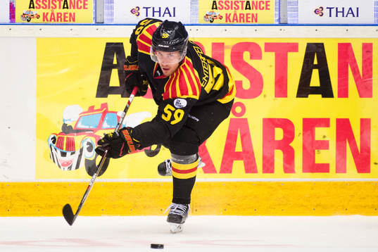Brynäs Sebastian Enterfeldt