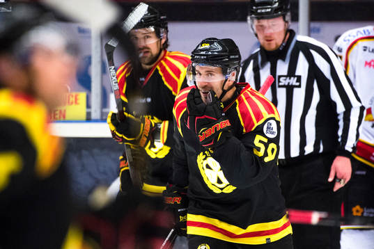 Brynäs Sebastian Enterfeldt