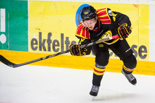 Brynäs Jonathan Pudas