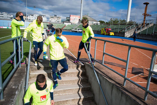 Sveriges målvakt Patrik Carlgren , Marcus Berg bredvid