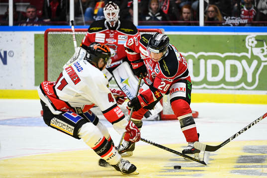 Bläddra bland fler bilder av Ishockey, SHL, Malmö Redhawks - Örebro
