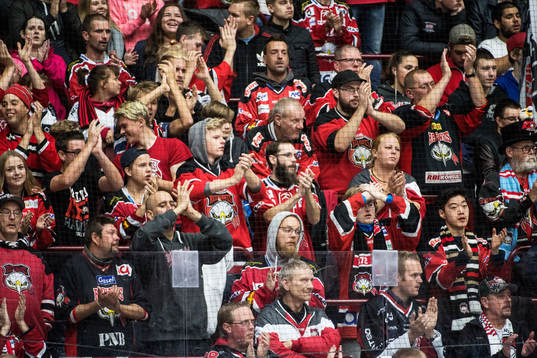 Malmö Redhawks supportrar