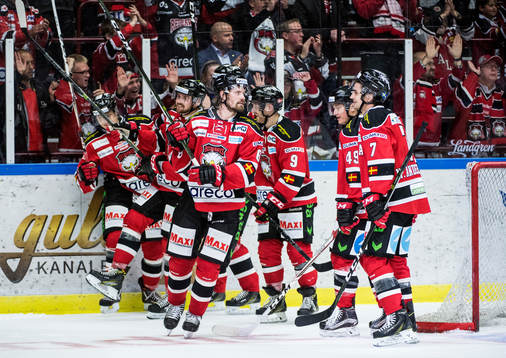 Malmö Redhawks spelare jublar