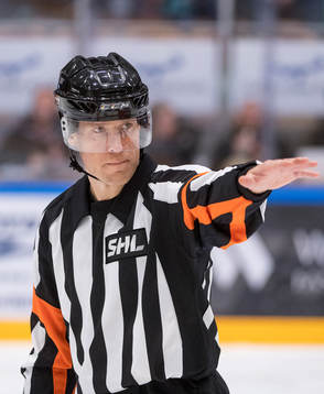 Domaren Tobias Björk