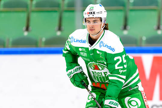 Rögles Ludvig Elvenes