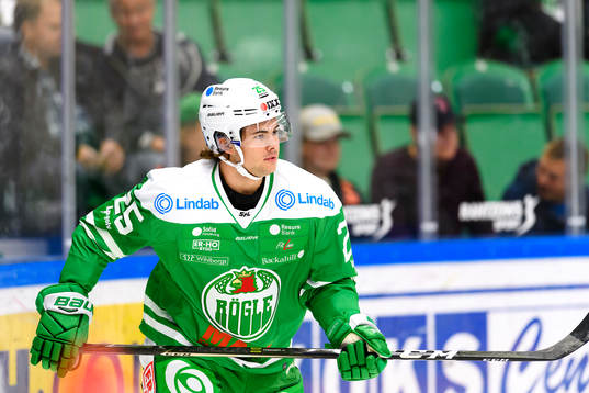 Rögles Ludvig Elvenes