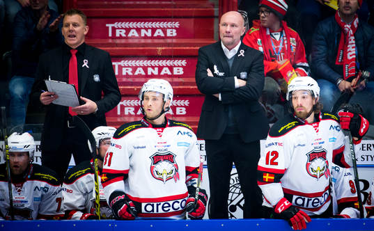 Malmö Redhawks assisterande tränare Jesper Mattsson och
