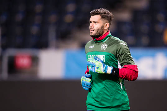 Bläddra bland fler bilder av Fotboll, Inför VM-kval, Bulgarien