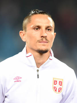 Ljubomir Fejsa, Serbien