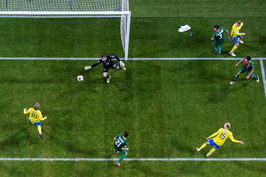 Bulgariens målvakt Vladislav Stoyanov släpper in 2-0 på