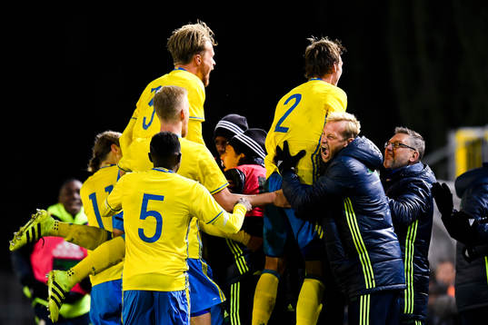 Sveriges spelare  jublar
