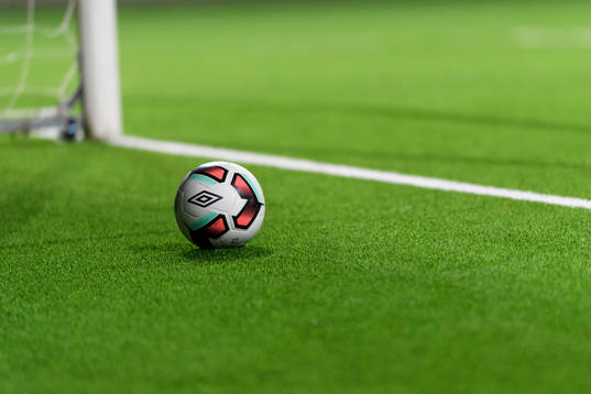 Fotboll i målet