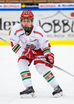 Modos Moa Wernblom