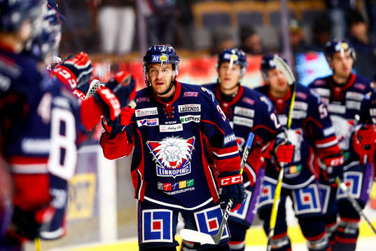 Linköpings Niklas Fogström jublar