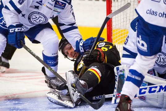Brynäs Tomas Zaborsky