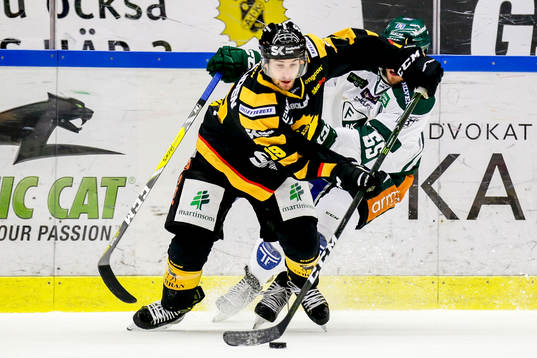 Bläddra bland fler bilder av Ishockey, SHL, Skellefteå-Färjestad