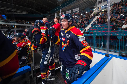 Djurgårdens Markus Ljungh på bänken