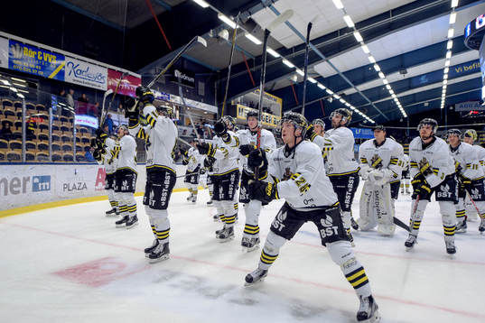 s spelare jublar med publiken