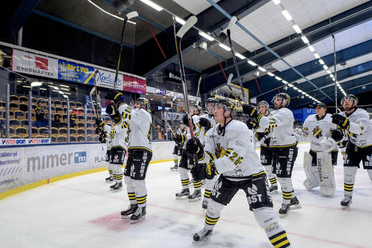 s spelare jublar med publiken