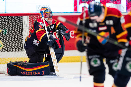 Djurgårdens målvakt Mikael Tellqvist deppar