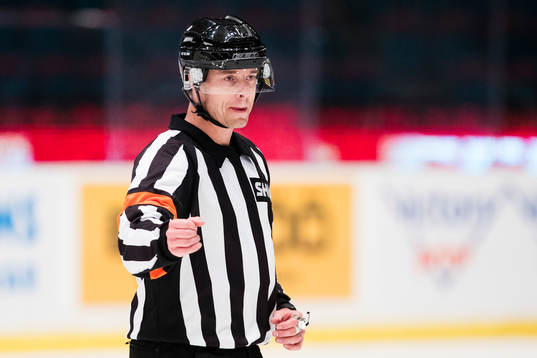 Domare Mikael Andersson