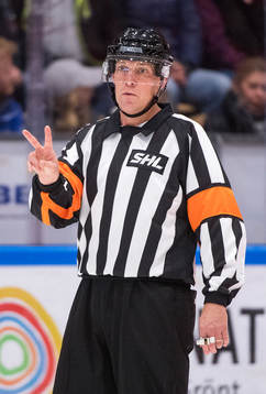 Domaren Morgan Johansson