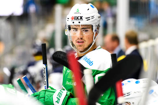 Rögles Alen Bibic
