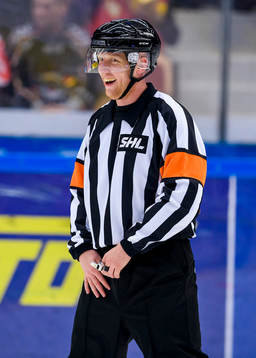 Domare Mikael Holm
