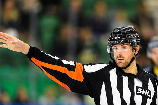 Domare Mikael Sjöqvist