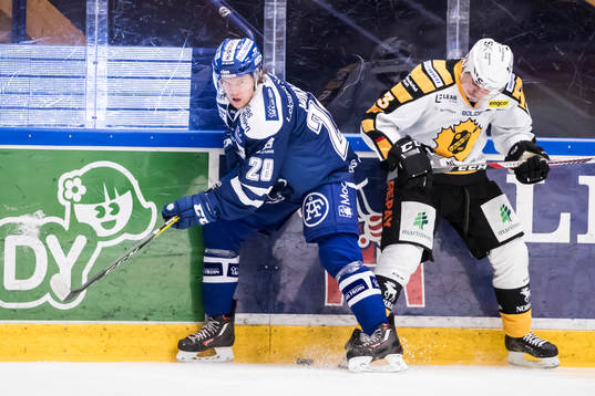 Leksands William Wikman