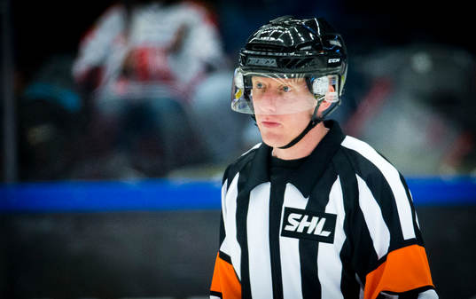 Domare Mikael Holm