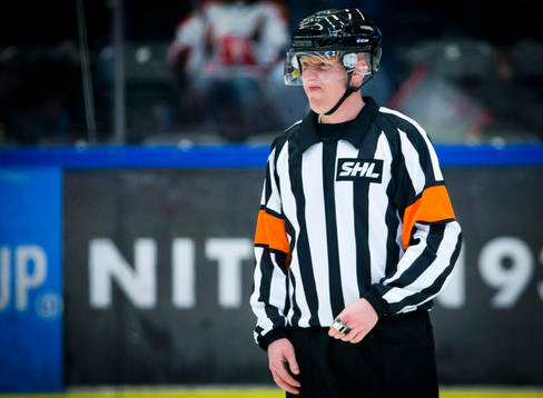 Domare Mikael Holm