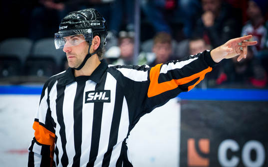 Domare Mikael Sjöqvist