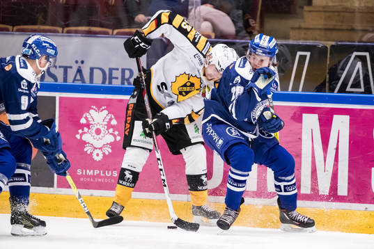 Leksands William Wikman