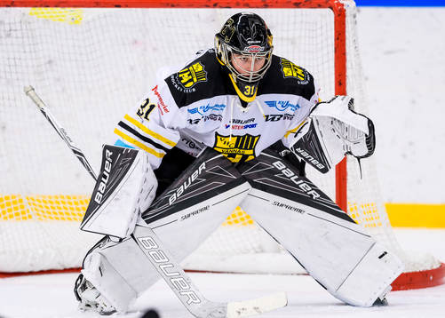 Vännäs målvakt William Eriksson