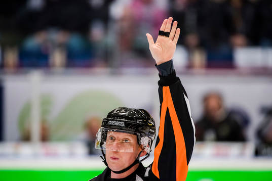 Domare Mikael Holm