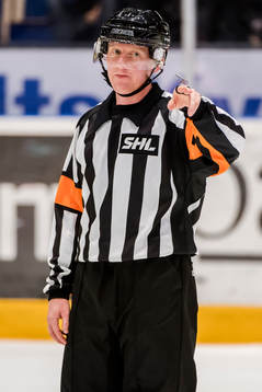 Domare Mikael Holm