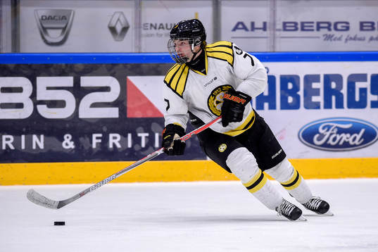 Brynäs Ponthus Westerholm
