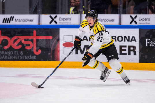 Brynäs Lucas Carlsson