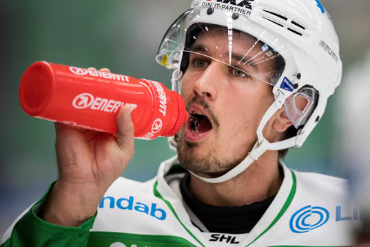 Rögles Daniel Sylwander