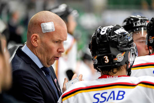 Luleås huvudtränare Stefan Nilsson tillbaka i båset