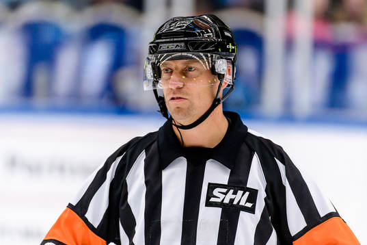 Domare Sören Persson