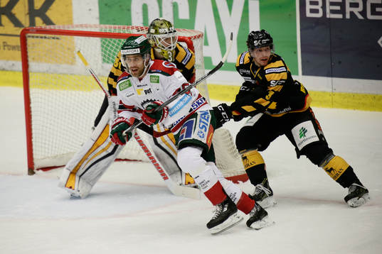 Skellefteås Niclas Burström