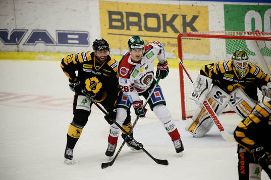 Skellefteås Johan Alm