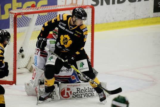 Skellefteås Henrik Hetta jublar