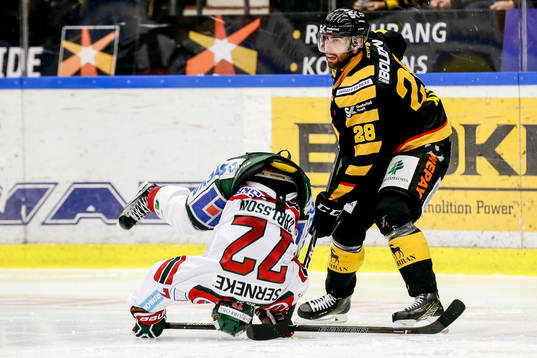 Skellefteås Johan Alm