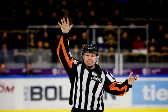 Domaren Wolmer Edqvist