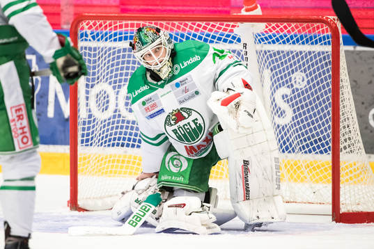 Rögles målvakt Oscar Dansk i ishockeymatchen i SHL mellan